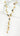 Long Necklace - Gold by ENVY