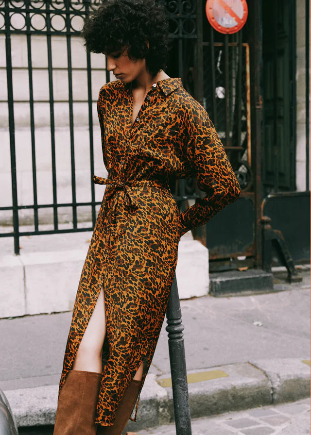 Adenisse Dress in Leopard Print